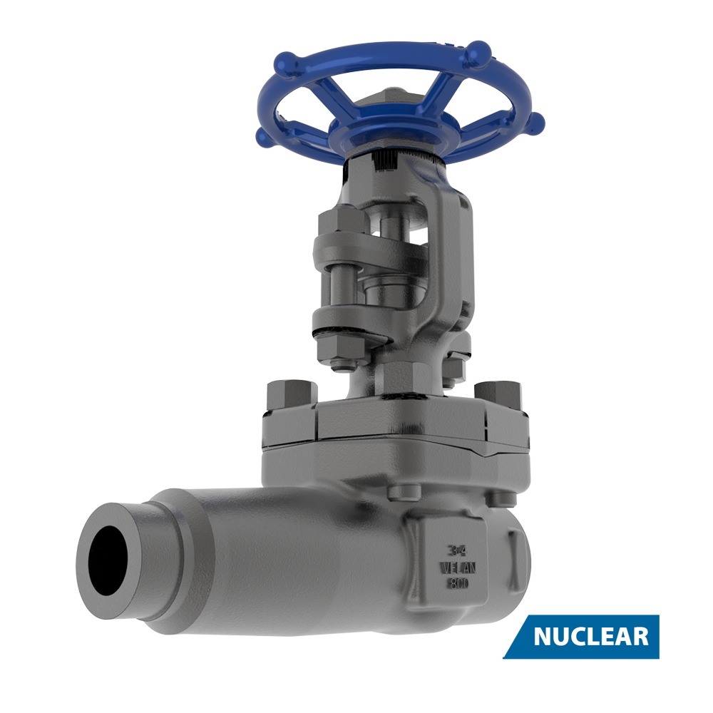 A metallic gate valve with a blue handwheel, designed for industrial use, is shown against a white background. The word "NUCLEAR" appears in a blue box at the bottom right corner, indicating its application.